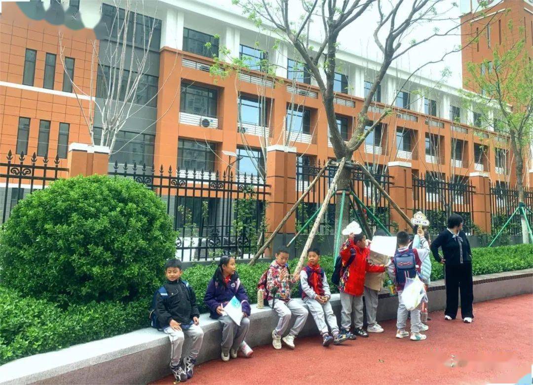 遇见城市精细化管理之美⑨|金谷小学南侧游园:"校园 游园"让接娃不再