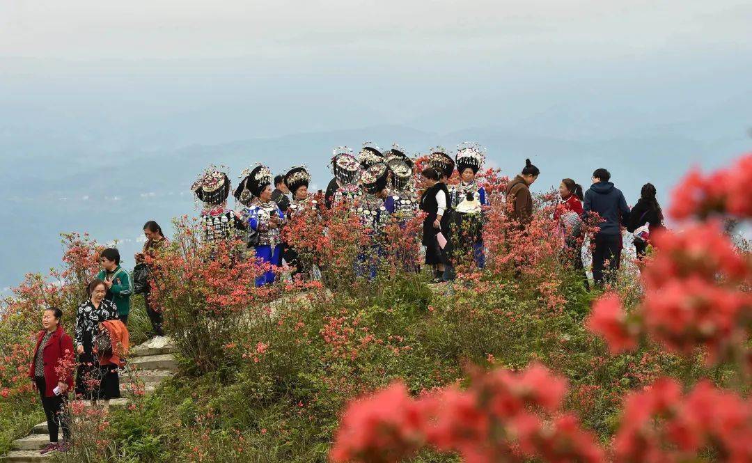 松桃飞灵山图片图片