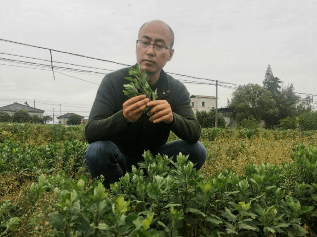 基层团讯|边城镇团委:为心目中的身边的"好青年"点赞!