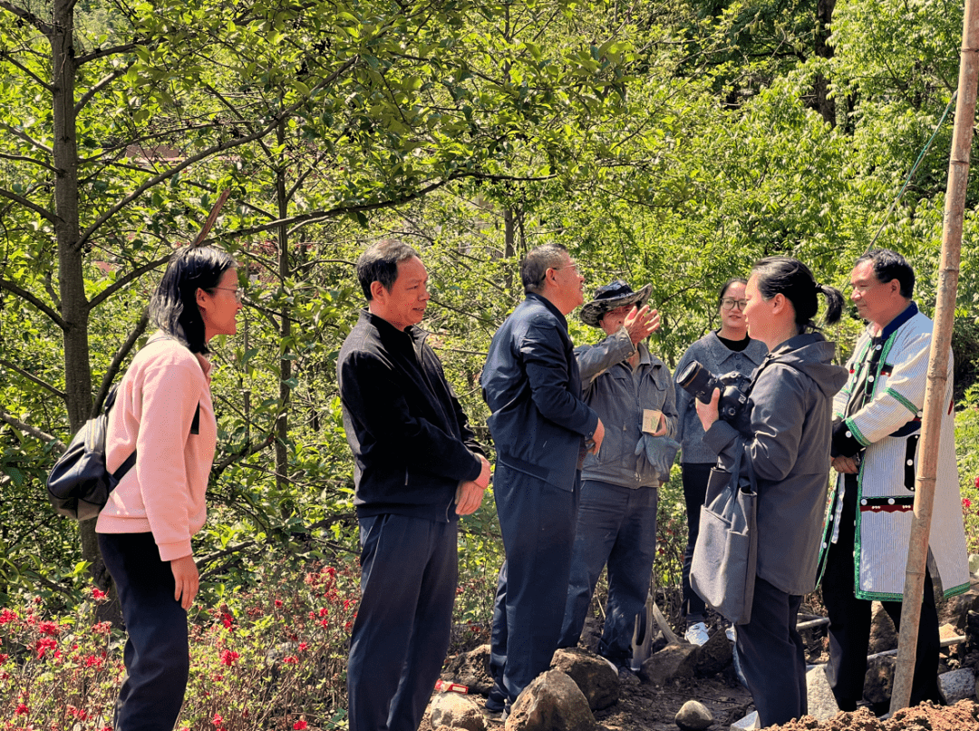 縣人大調研福貢縣全國民族團結進步示範縣創建工作開展情況_部門_鄉