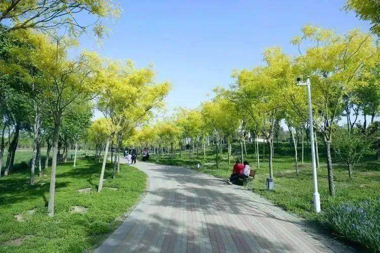 【大美满城】复兴公园绿树荫浓_李静_张宇杰_田素然