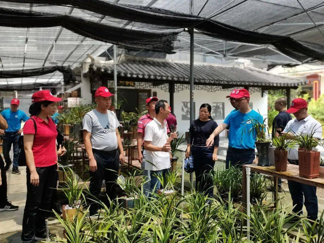 不以穷困而变节……"容县兰花生态园里,容西镇党委副书记廖春清给前来