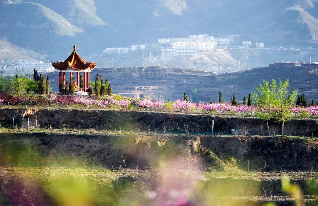 阳泉桃林沟景区的介绍图片