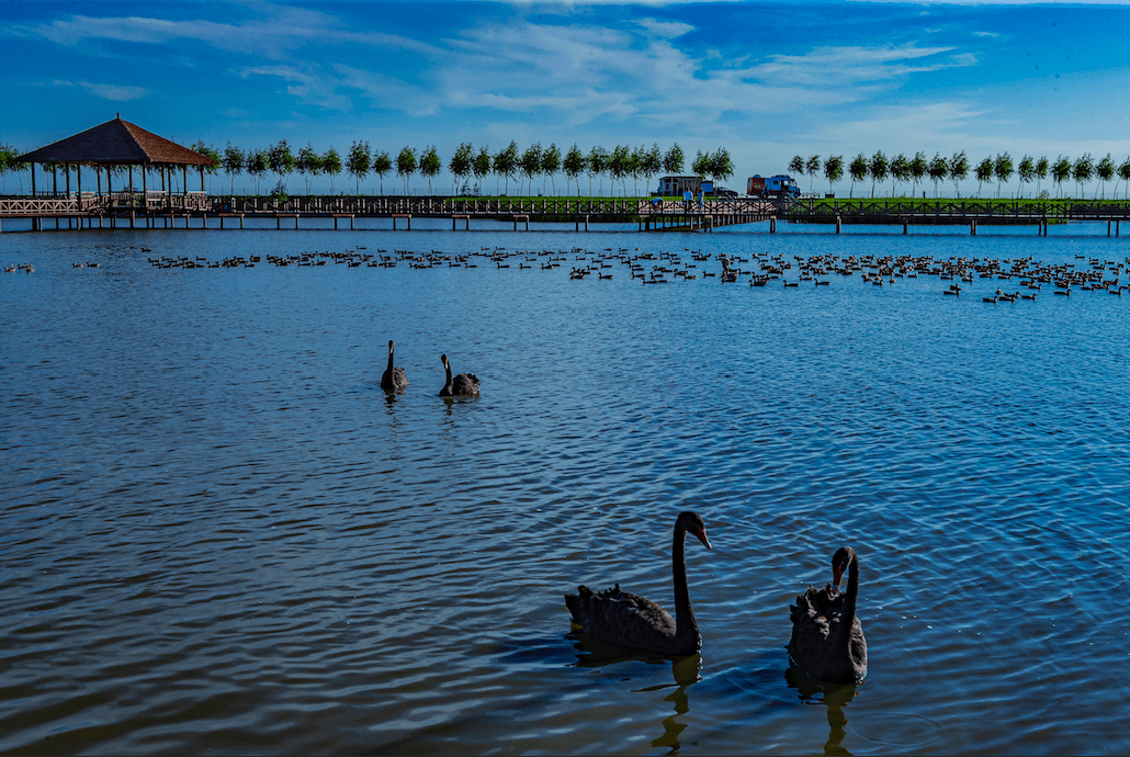 前郭县长山镇宏丰民宿)—九连