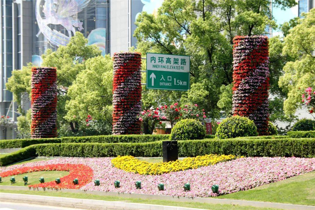 春日气息扑面而来,五角场环岛景观花卉上新_粉色_大丽花_颜色