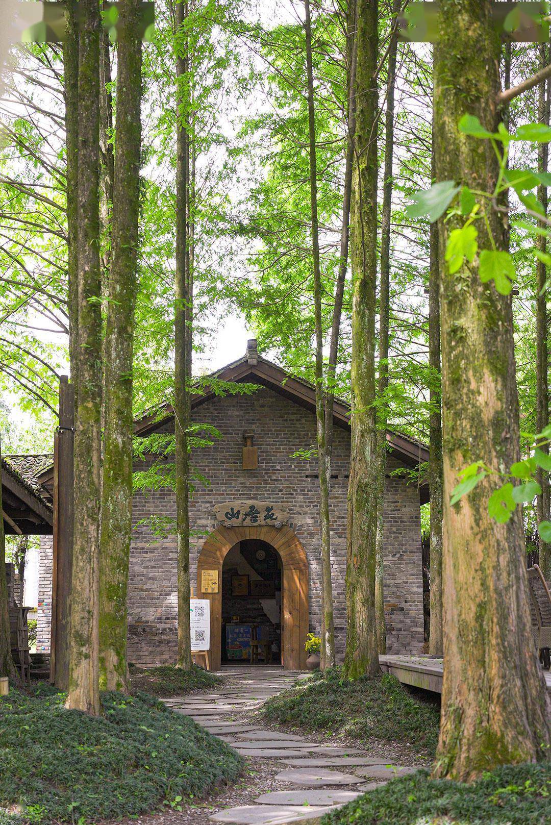打卡和美乡村消费新场景|邛崃天府红谷,隐于山水间的世外桃源_张敏