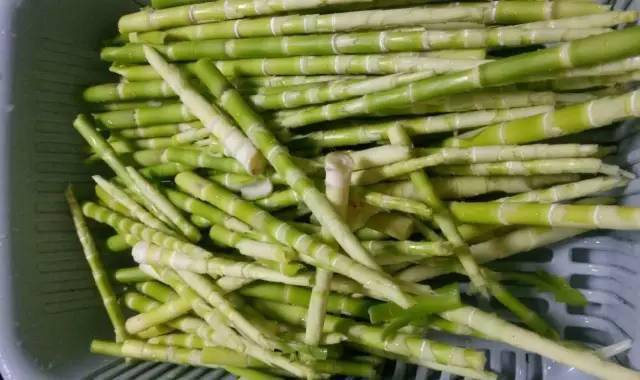 小竹笋不但营养价值丰富,还有药用价值, 中医认为,小笋子味甘,淡,微苦