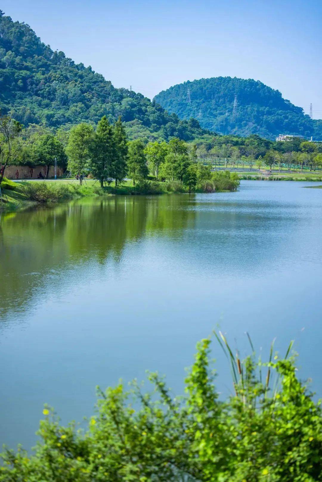 五一帶娃來大自然中探尋綠意盎然,呼吸新鮮空氣~_公園_深圳_鳳凰山