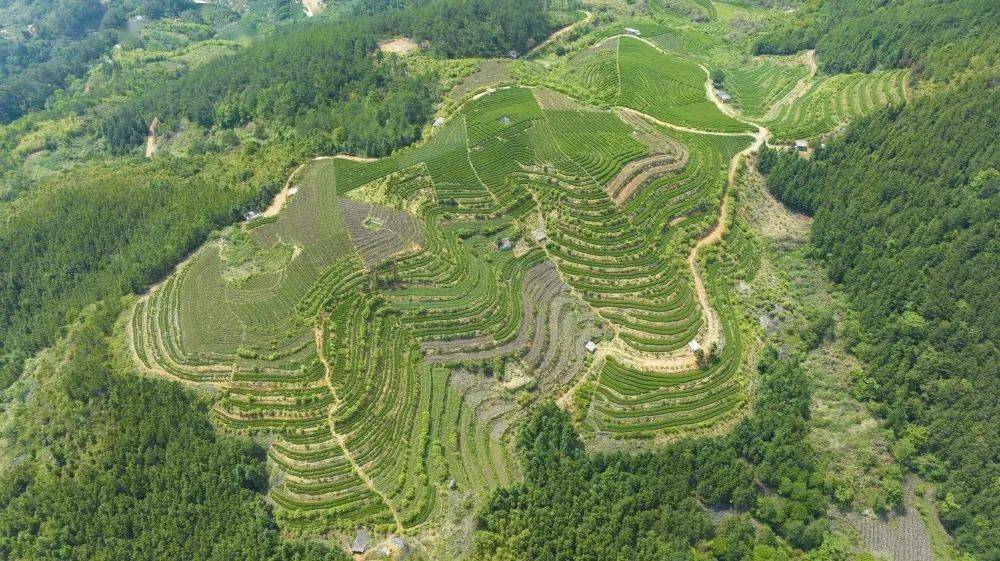 霞拔位于永泰县西北部,戴云山脉东端,群山连绵,谷地丛生,平均海拔650