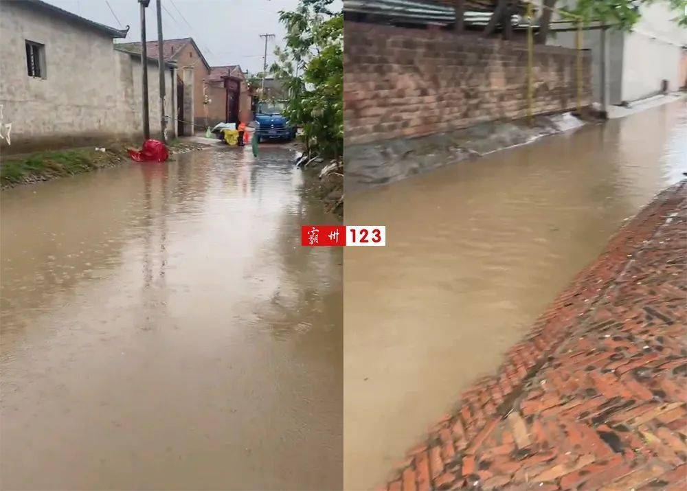 积水_胡同_网友