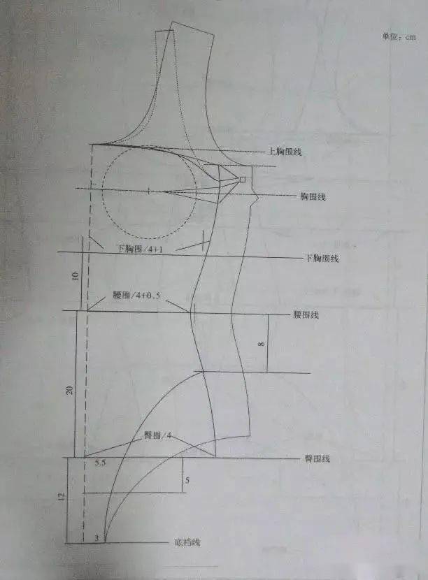 内衣裁剪教程