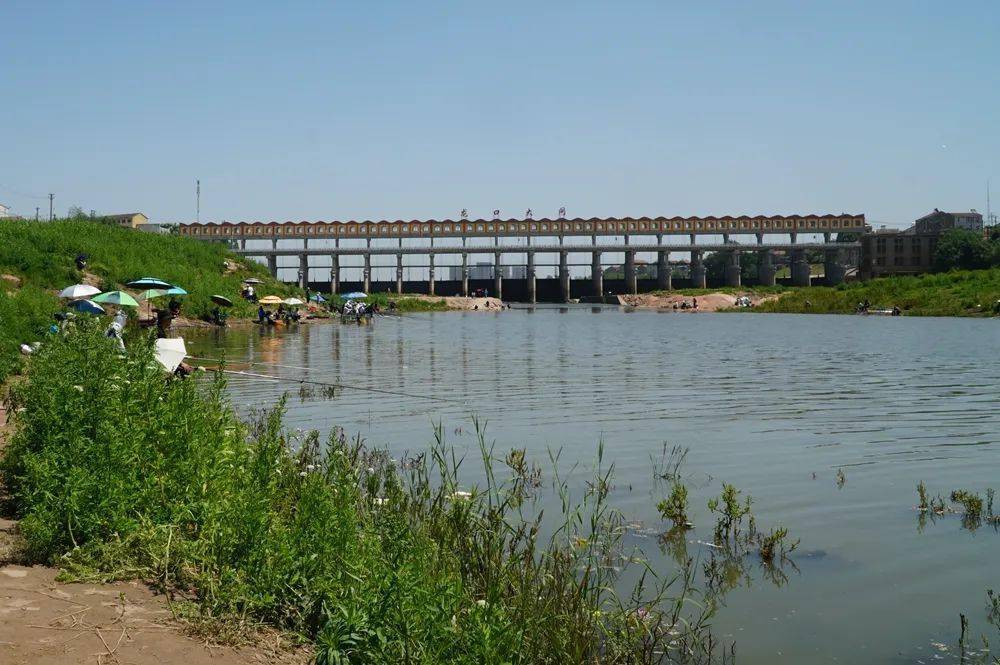 双柳,又添网红打卡地!_公园_武汉_口袋