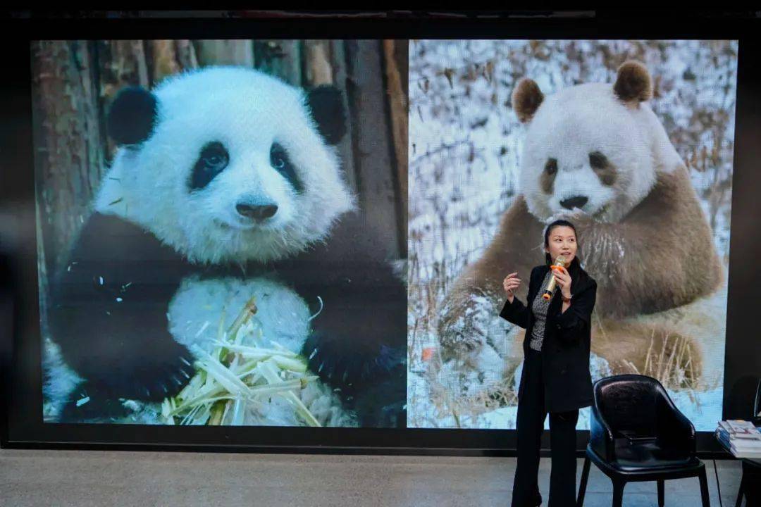 逶迤带绿水,迢递起朱楼"南京:风物,历史与人文