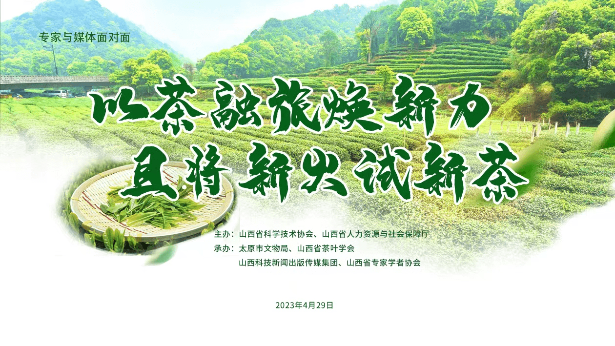 汾阳茶叶网络推广 来自搜狐网