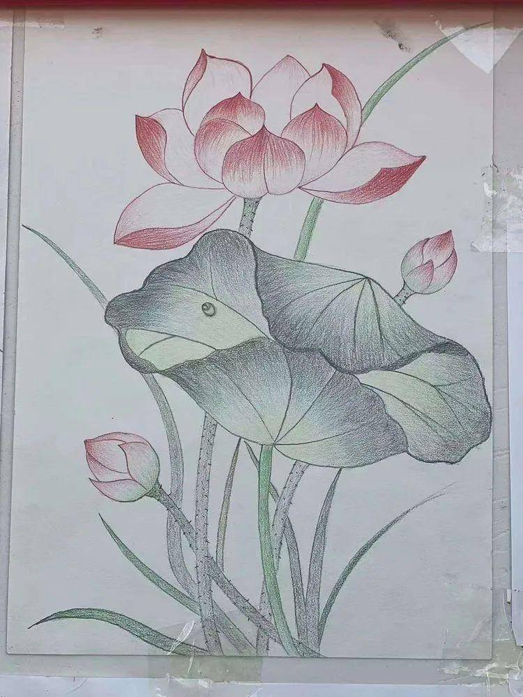 上蔡县杨屯初中开展"永远跟党走,奋进新征程"五一师生书画展_作品