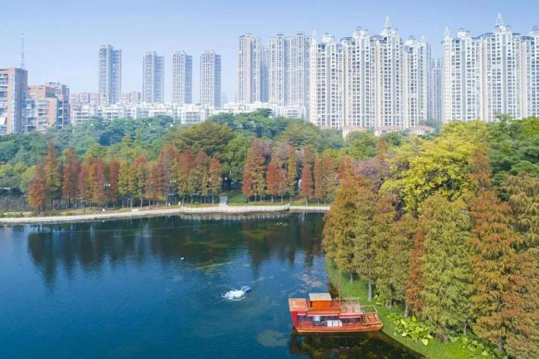 禅城9大绝美公园,好看又出片_佛山市_健身_文化