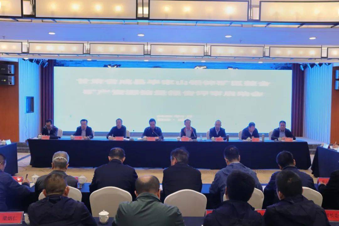 成县毕家山铅锌矿区整合矿产资源储量报告评审会召开_工作_自然_相关