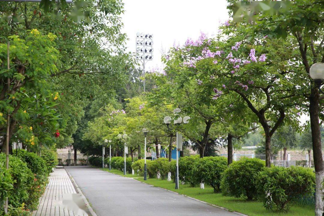 大学介绍丨【广东女子职业技术学院】录取分数/学校环境,宿舍图片!