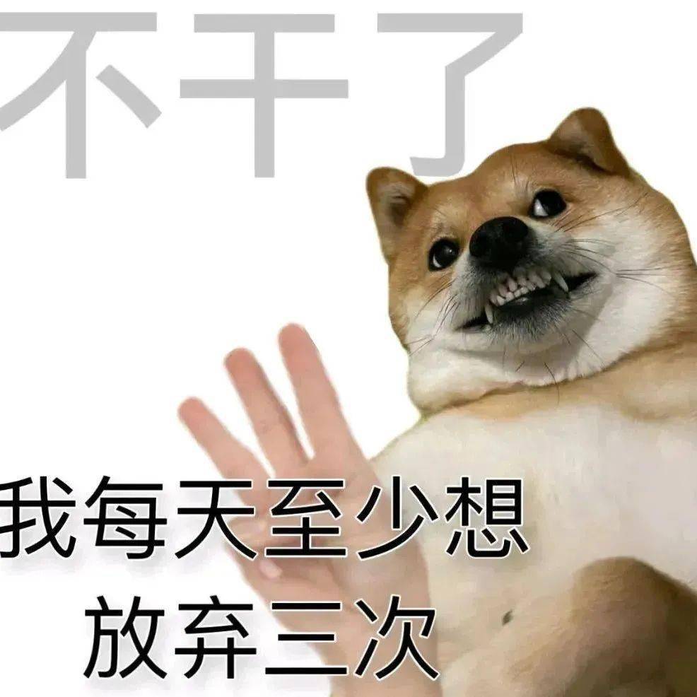 沙雕可爱表情包 | 你不讨厌 只是全无用处_感情_爱情_熊猫头