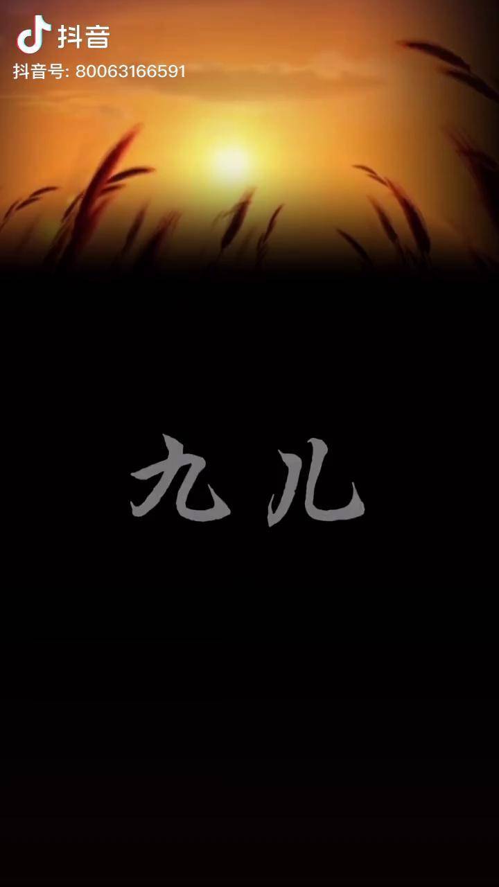 高粱熟来红满天 《九儿》 琵琶 民族乐器 旗袍 国风 弹个音符给你听