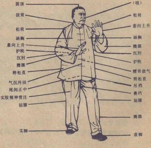 "尾闾中正"和"重中轻"是入太极拳之门的钥匙_架子_功夫_关节