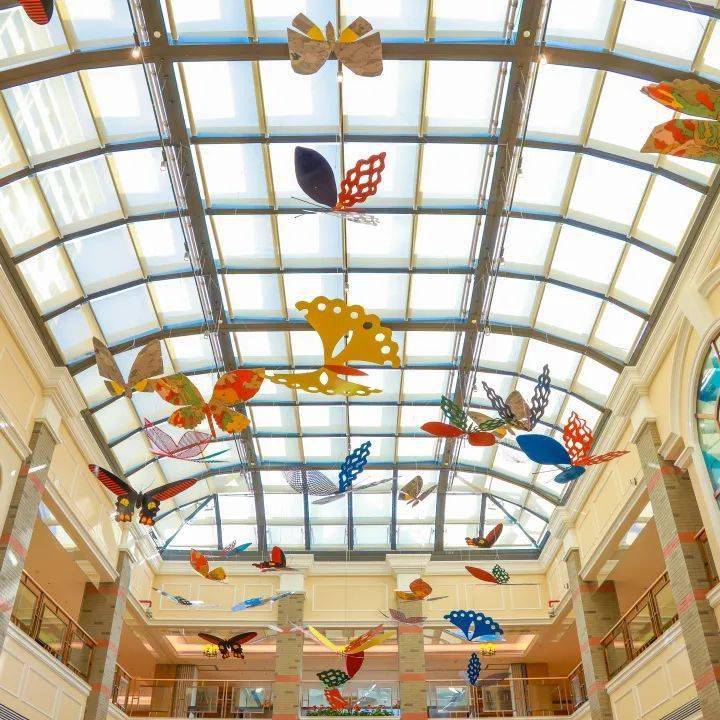 泰康之家 四季花厅大赏 有图有真相→_社区_燕园_长辈