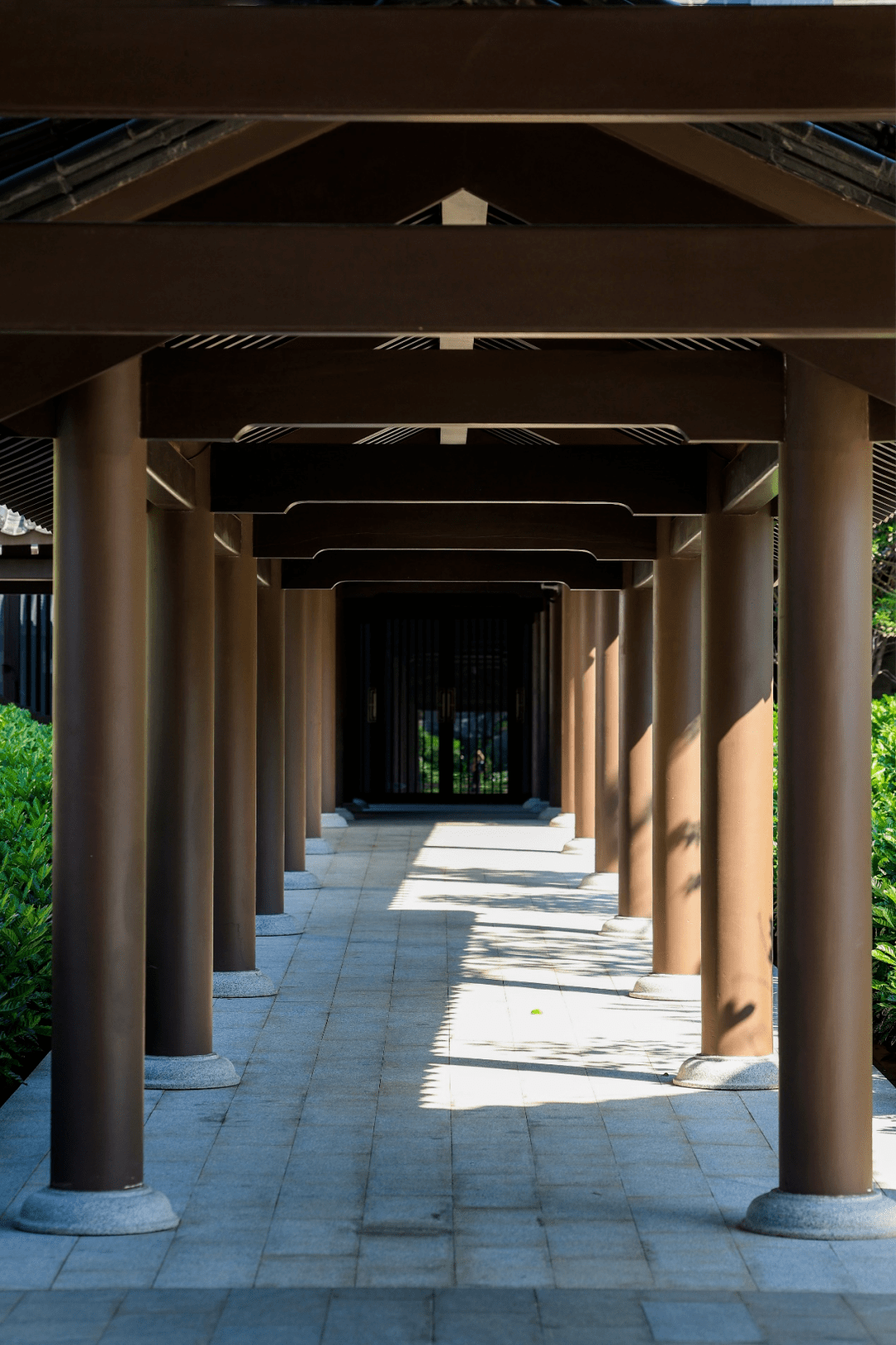 廣州文化館新館最美打卡點