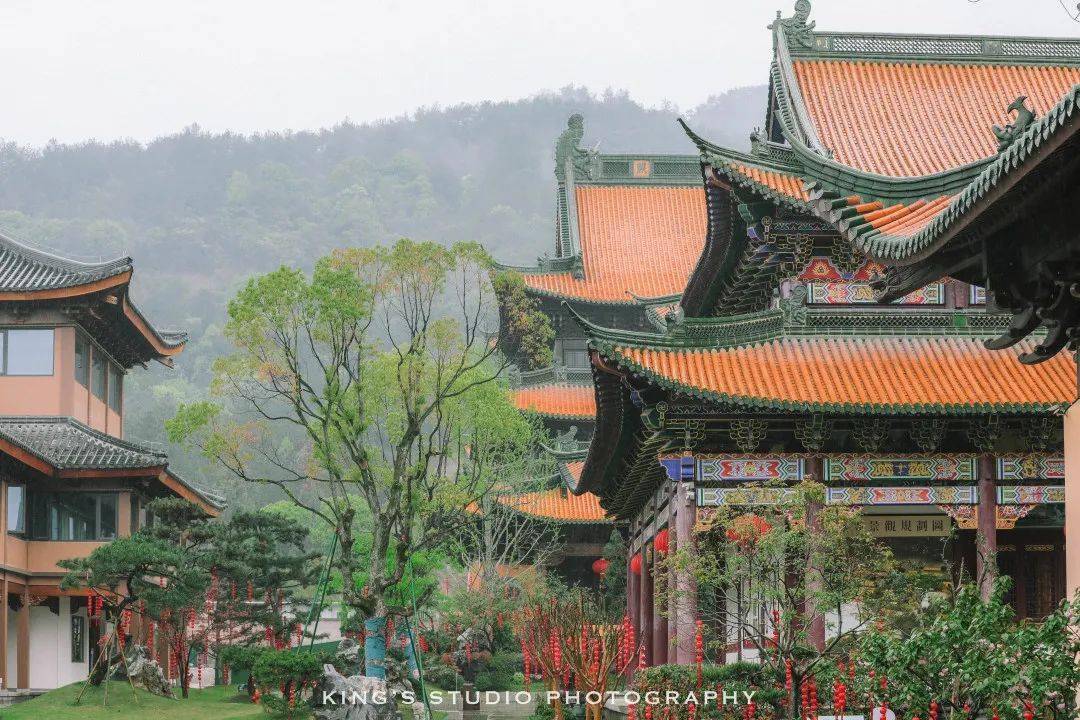 就在金华这里→_双林_禅寺_寺庙