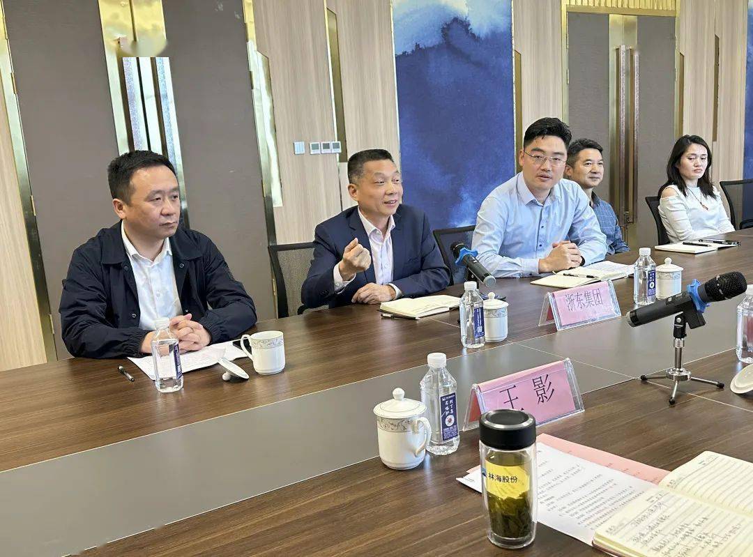 裕安区区长仰玉晶一行调研丁集婚纱小镇_发展_集聚_特色