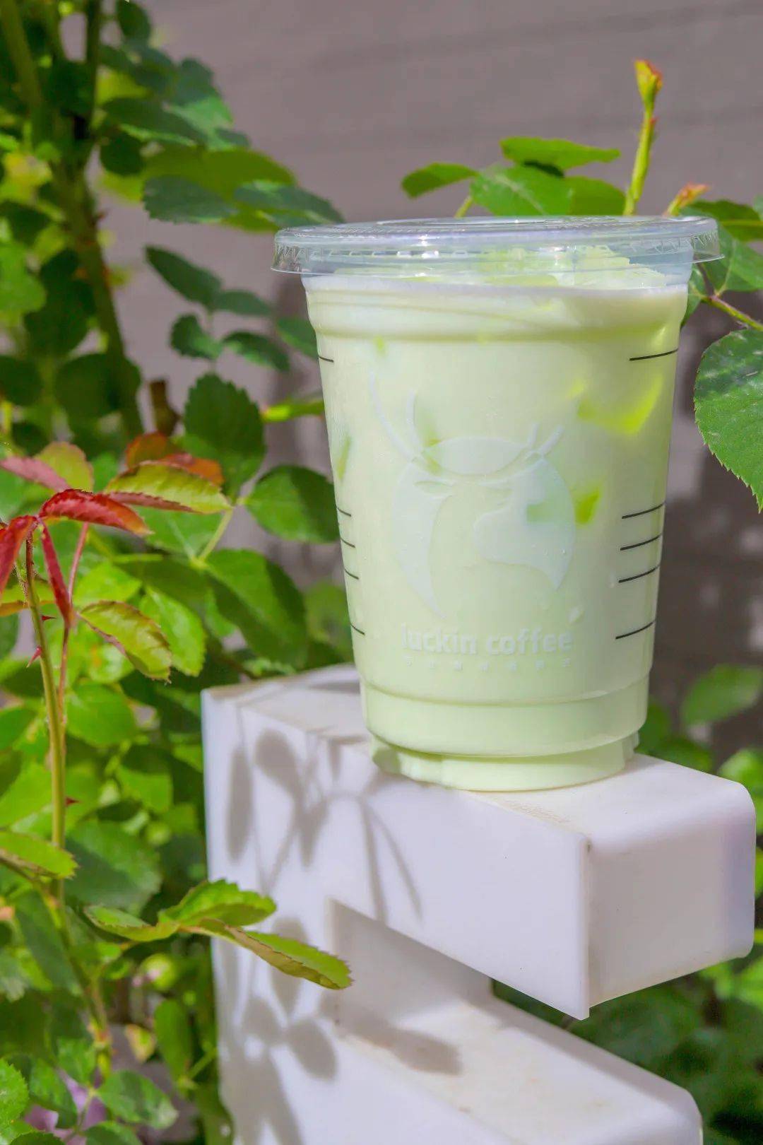 纯粹也更清新0卡青提风味浓浆融入纯牛奶与椰浆则可以冲这杯「夏日青