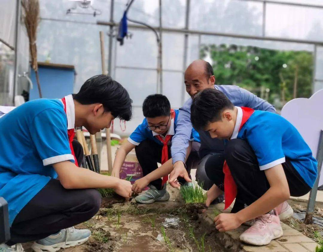 5月6日下午,在位于泖港镇的五厍学校,操场边的"耕农园"里格外热闹,"小