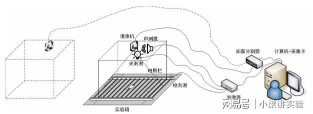 創傷後應激綜合徵模型:條件恐懼實驗系統-場景恐懼實驗分析系統_記憶