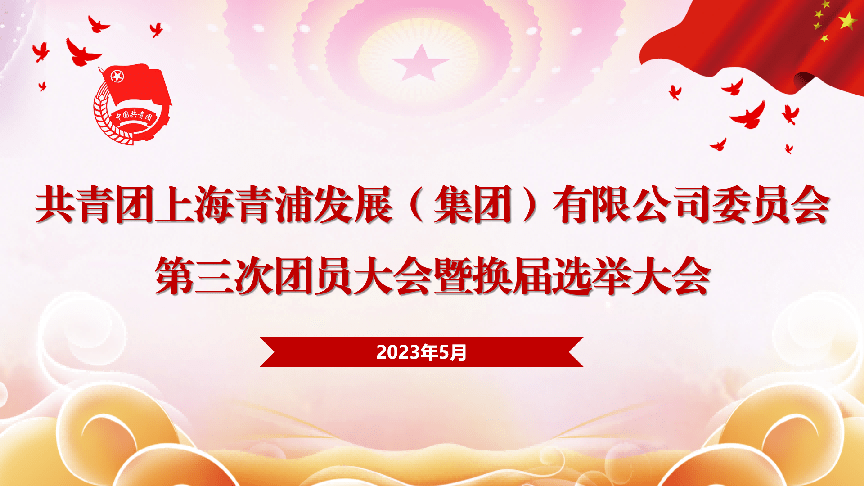 青发集团团委顺利召开换届选举大会_同志_发展_工作