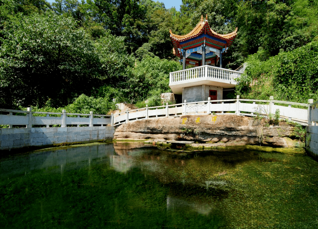 锦石乡碧泉村:一潭"碧"水"涌"出亿元产业_发展_的生产_湘潭县