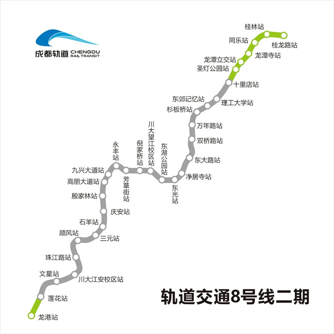 种子图片（幸运草种子怎么种植方法视频） 第7张