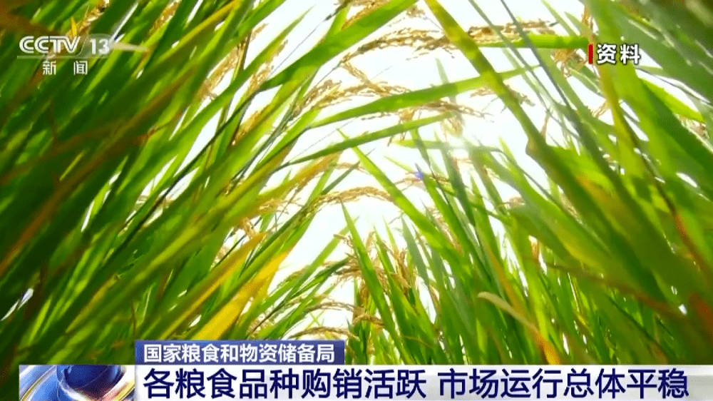 “米袋子”量足价稳 2022年度秋粮收购总量达近三年来最高