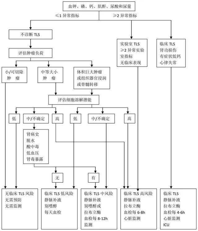 比肿瘤本身更危险:肿瘤溶解综合征_治疗_化疗_mg