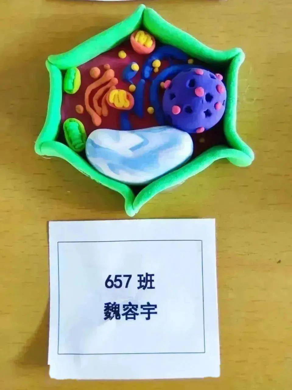 橡皮泥dna模型简易制作图片