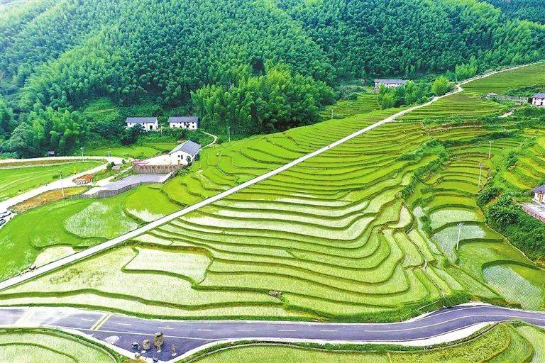 瀾見證之旅線路中,我市的崇義上堡梯田與省內的泰和槎灘陂,撫州千金陂