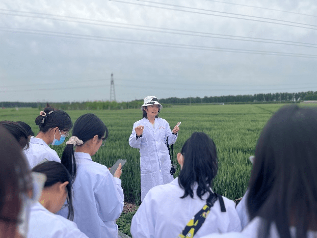 【教学动态】学院组织作物病虫草害综合实践活动_进行了_小麦_能力