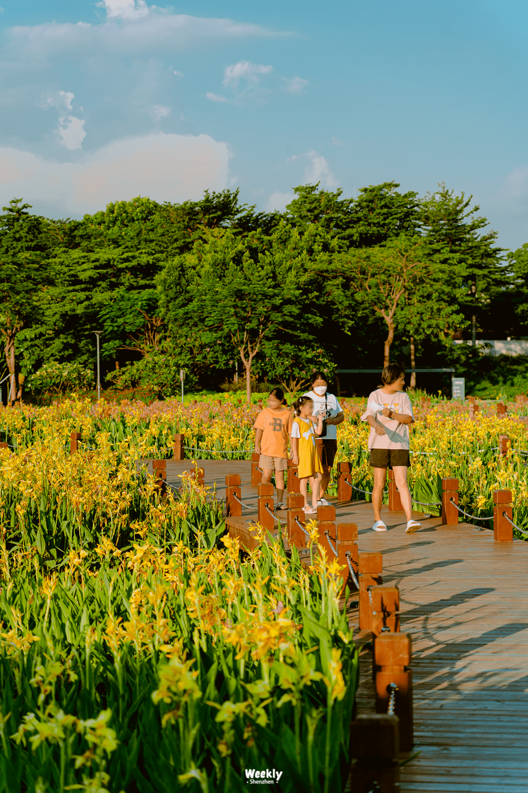 深圳的夏天,如果去腻了海边,就来这里吧_公园_休闲_宝安