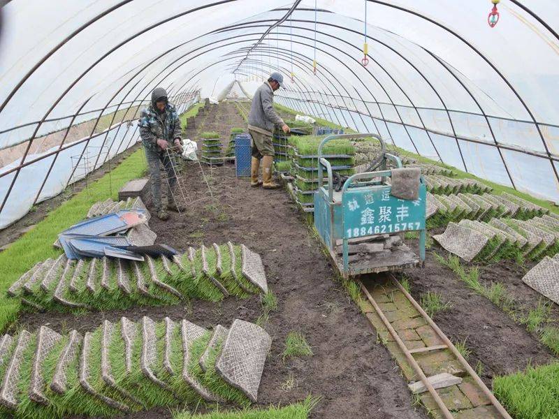 主打的就是创新!看北大荒如何"玩转"春耕生产(四)