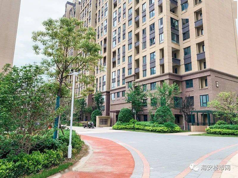 小编带你看看这家小区的内部情况_海安_绿化_奥体新城