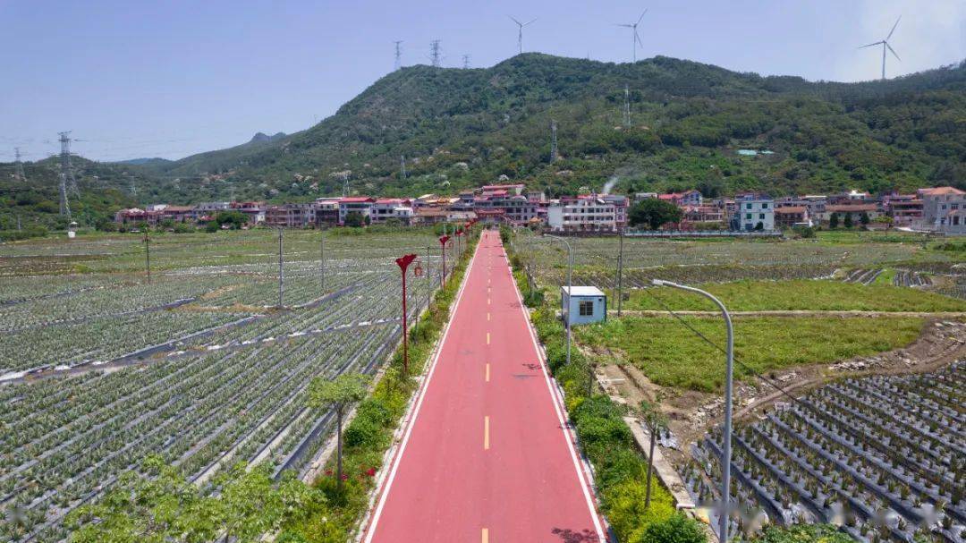 美翻了我的村 | 福建省莆田市涵江區江口鎮官莊村:僑鄉風韻 秀美官莊