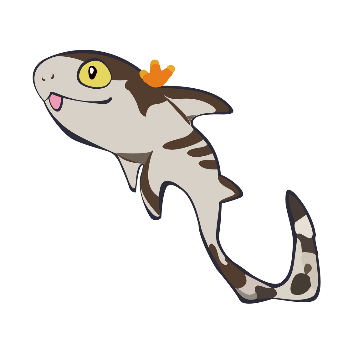 牙齿_活动_表演