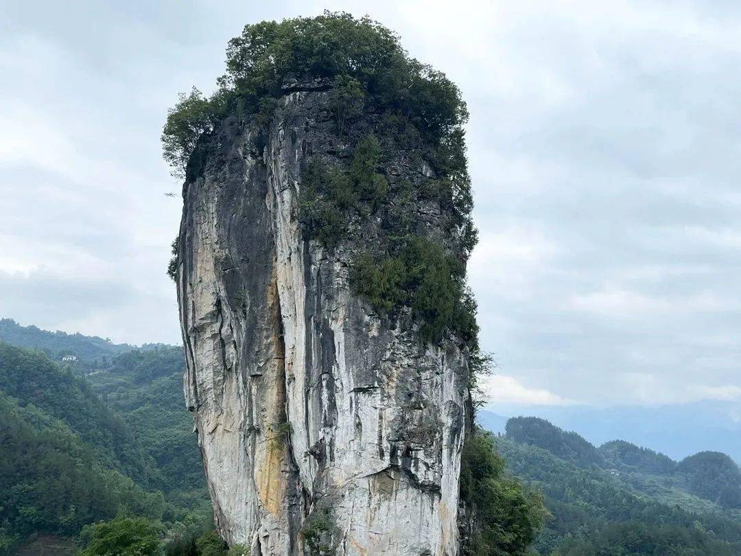 【全域森林康养】道真民间文艺家协会到忠信镇采风_发展_旅游_自治县