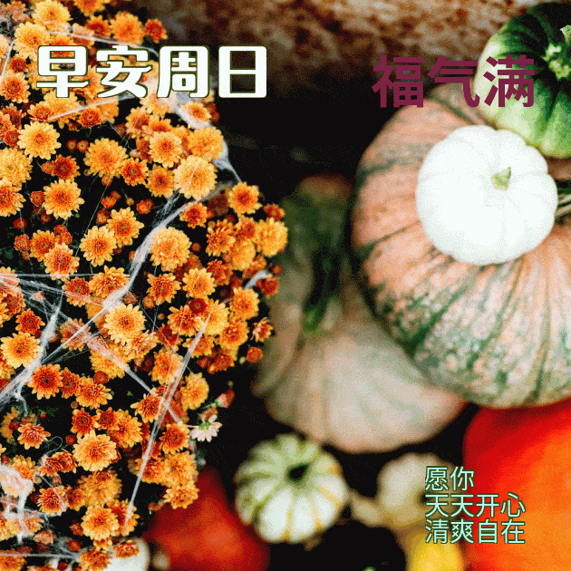 周日新款早上好表情大全,大家早上好表情图大全_朋友_短信_生活