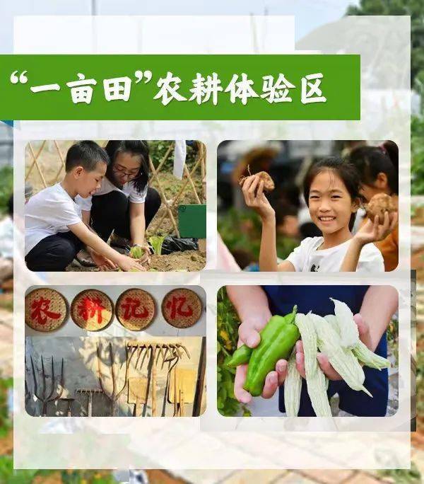 5月16日,宁夏儿童生态科普园将正式开放!_活动_自然_教育