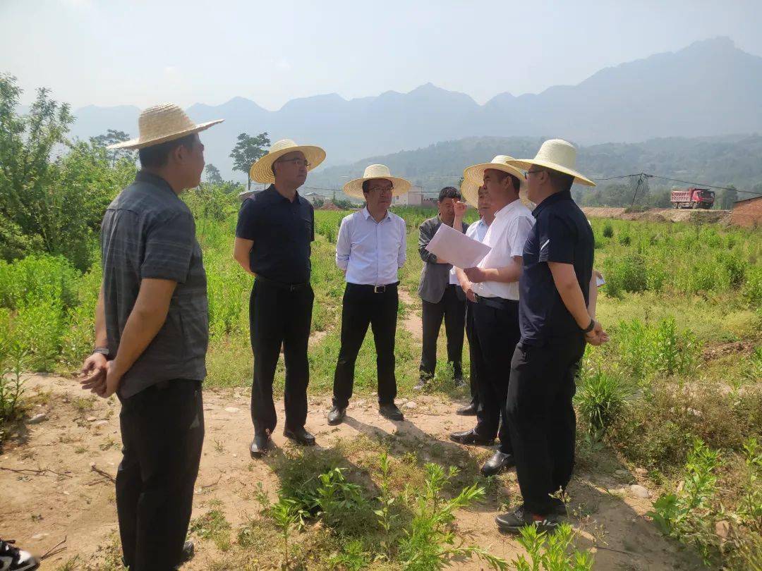 赵彦凯调研项目选址,用地保障,国有资产管理等工作_应急_物资_情况