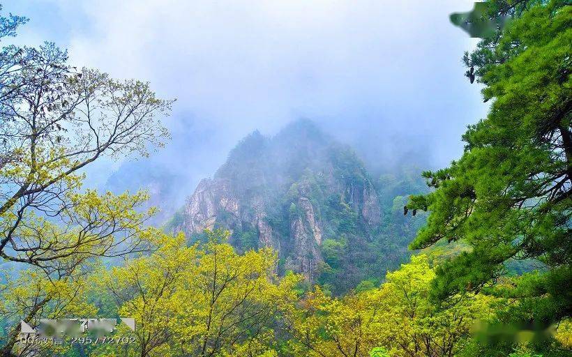 ◣九嶽視界◥ 免票景區王順山:步石隨雲起,題詩向水流_母親_山頂_兒子